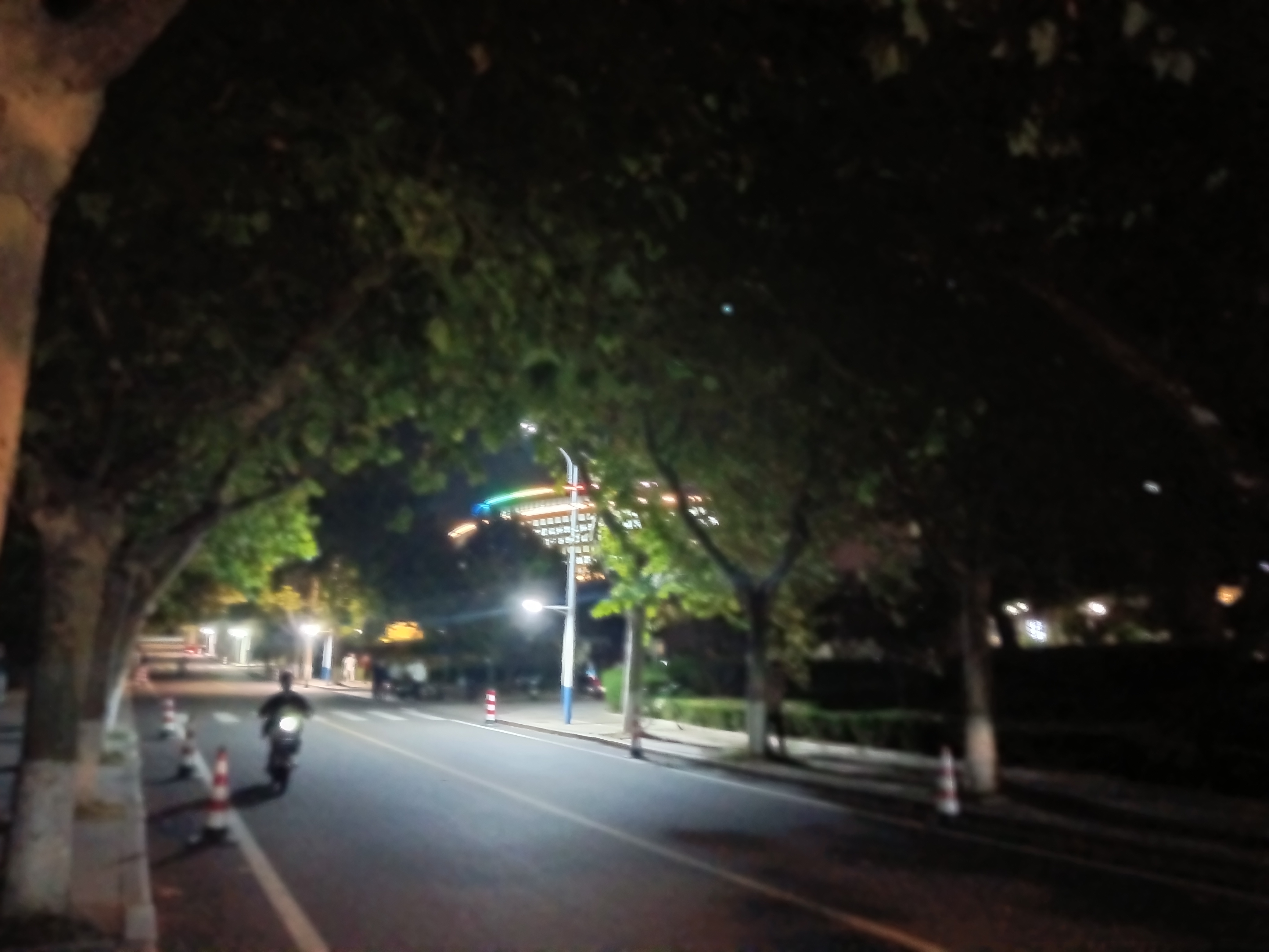 写作的交付