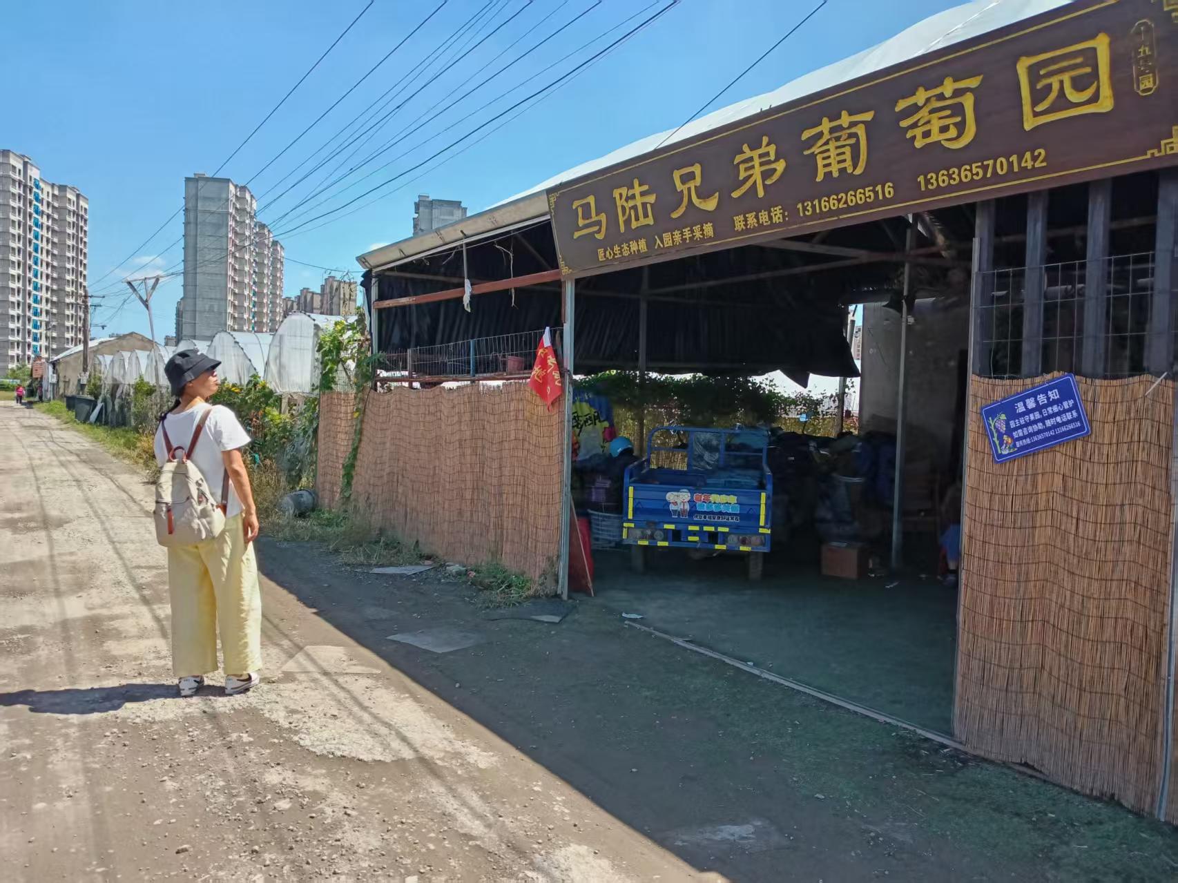 村口的路牌